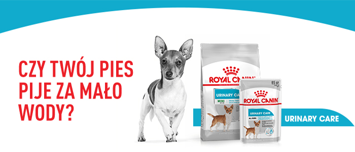 ROYAL CANIN CCN Mini Urinary Care kuivtoit täiskasvanud väikeste tõugude koertele, alumiste kuseteede kaitse 1 kg